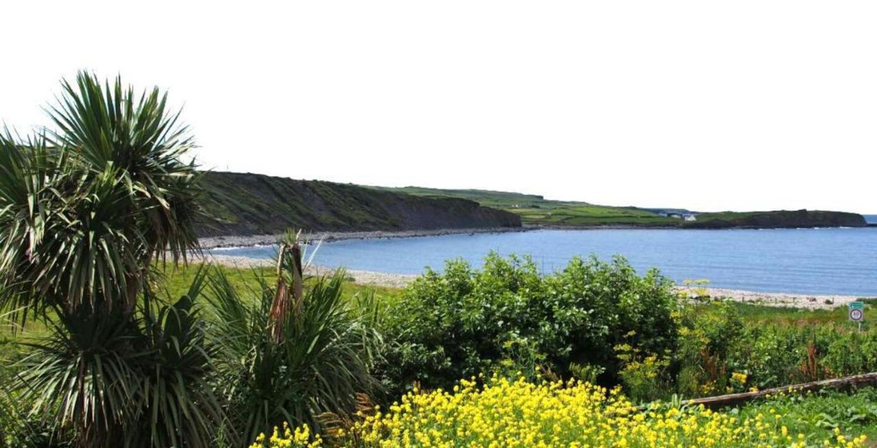 Wild Atlantic Lodge Bed & Breakfast ลาฮินช์ ภายนอก รูปภาพ